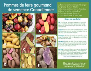 Canadian Gourmet Seed Potatoes - Planting Instructions - French