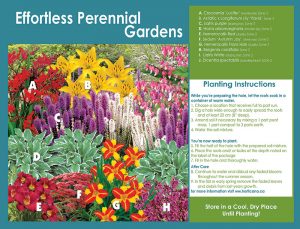 Effortless Perennial Gardens - Planting Instructions