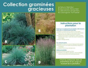Graceful Grasses Collection - Planting Instructions - French