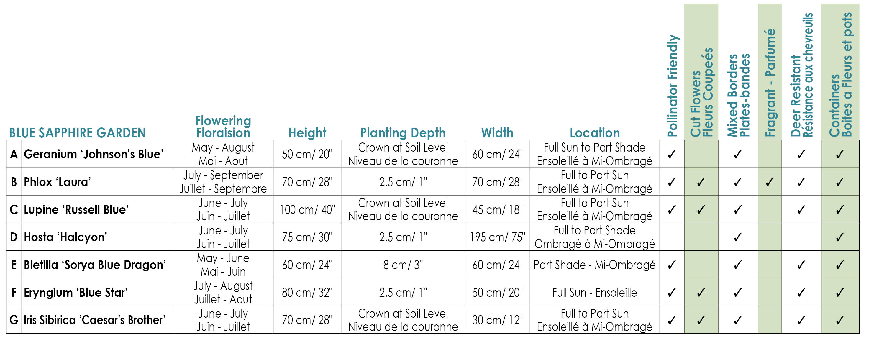 Blue Sapphire Variety Info