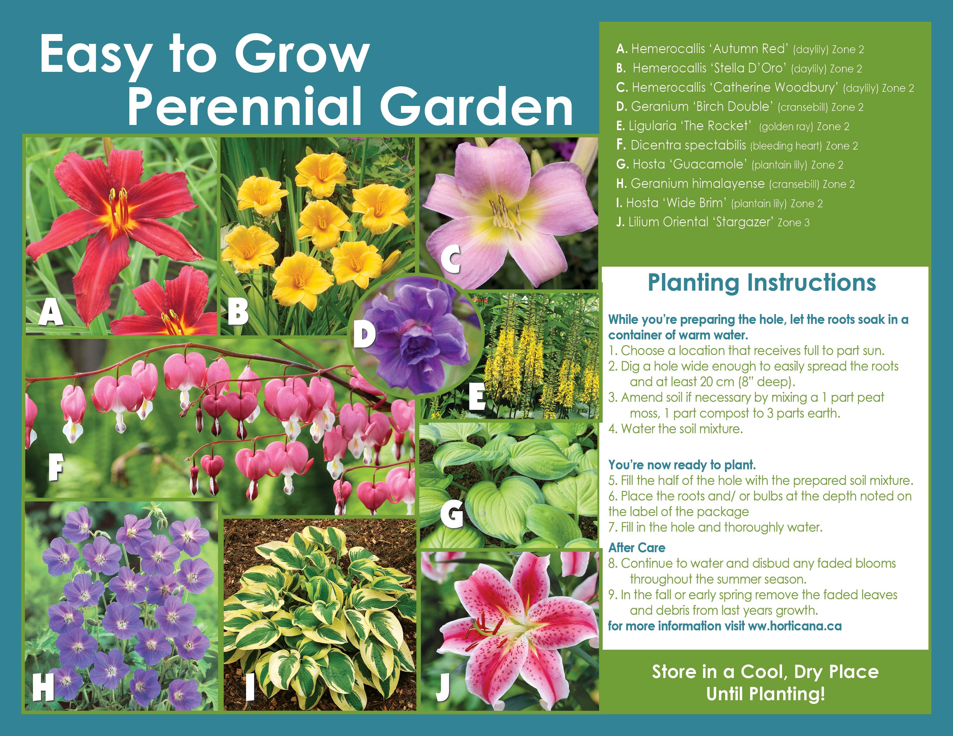 Easy to Grow Perennial Collection Sp20 Pl Inst EN Horticana