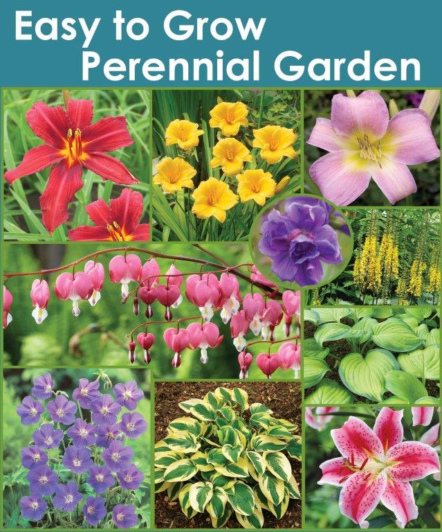 Easy to Grow Perennial Collection Sp20 extra image thumb - Horticana