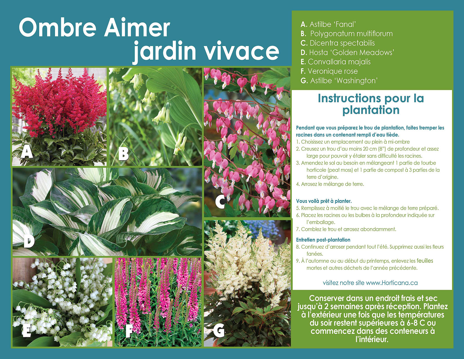 Shade Loving Garden Sp22 pl inst FR