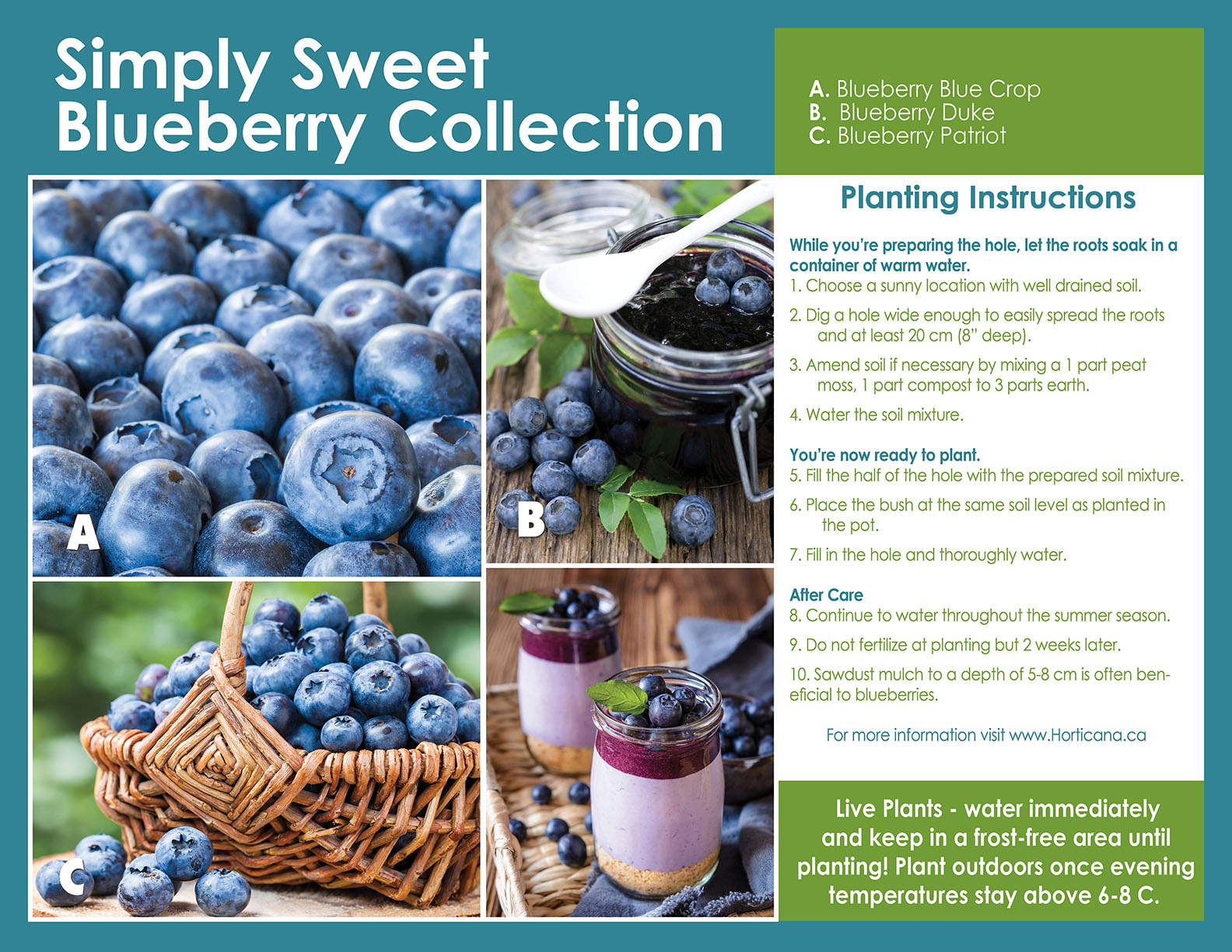 Simply Sweet Blueberry Collection CA sp26 Pl inst EN