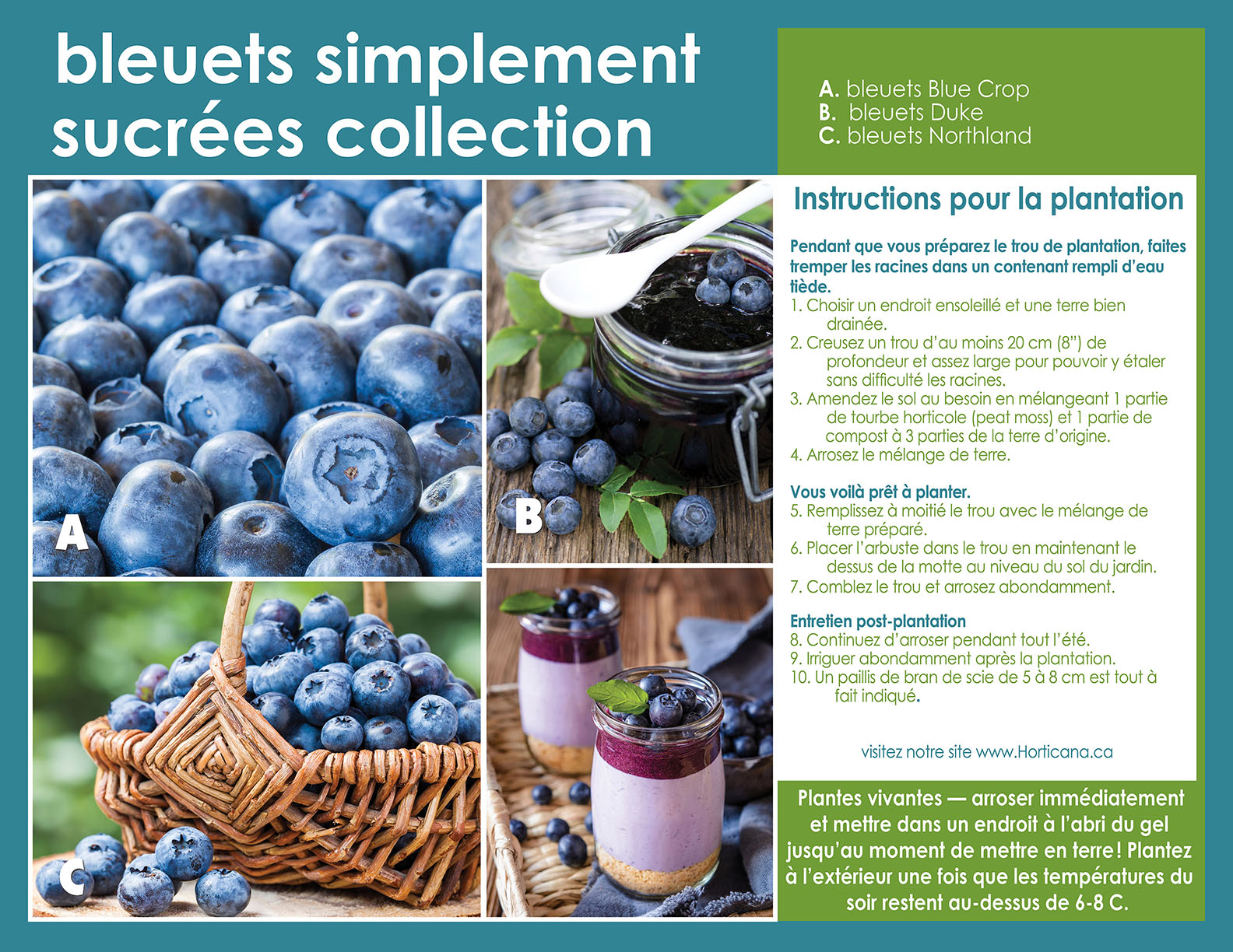 Simply Sweet Blueberry Collection CA sp26 Pl inst FR